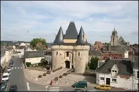 La ville de La Fert-Bernard ( Sarthe ) est chef-lieu ...