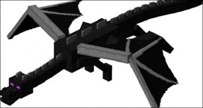 Quand on tue le dragon, on a...