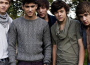 Quiz One Direction - Facts