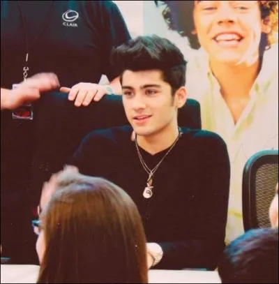 Que regarde Zayn comme srie ?