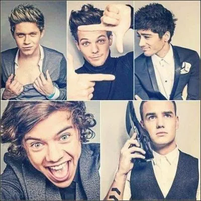 Qui a dit  On a des fans incroyables. Elles nous retrouvent n'importe o, peut importe o on est.   ?