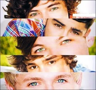 Combien ont-ils fait de clips ?