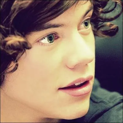 Quel tait le numro de Harry lors de son audition  X-Factor ?