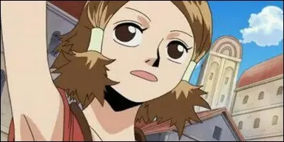 Où Luffy rencontre-t-il Abi ?