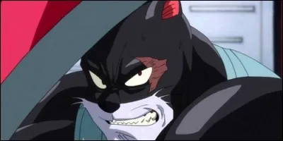 Comment se nomme l'épée que Panther Lily utilse lors de son combat contre Gajeel à Edolas ?