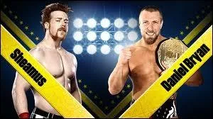 Sheamus VS Daniel Bryan, qui gagne ?