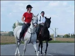 Il est souvent utilis dans :