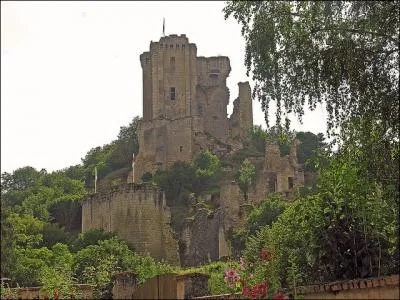 Pittoresque village du dpartement du Loir-et-Cher, qui a conserv son chteau-fort, son glise Saint-Genest vous offre des peintures murales du douzime et seizime, quel est ce village ?