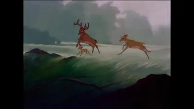 Dans ce film d'animation, qui sont les mchants qu'on ne voit jamais bien qu'ils se montrent violents et meurtriers et soient une menace relle pour l'quilibre du monde du hros dont ils tueront la mre ? Qui est ce hros en question ?