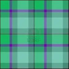 Ce MAC d'Auvergne qui pue du bec va nous couper la parole, c'est le mac... ?