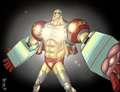 Combien de personnages au total possdent le haki des rois ?