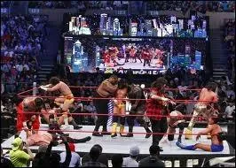 Royal Rumble Match, qui gagne ?