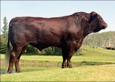 Comment s'appelle le mari de Madame, qui porte le mme nom qu'un signe du zodiaque ?