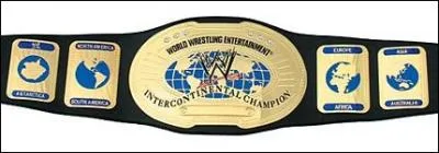 Qui est le champion intercontinental  la suite de The Bash 2009 ?