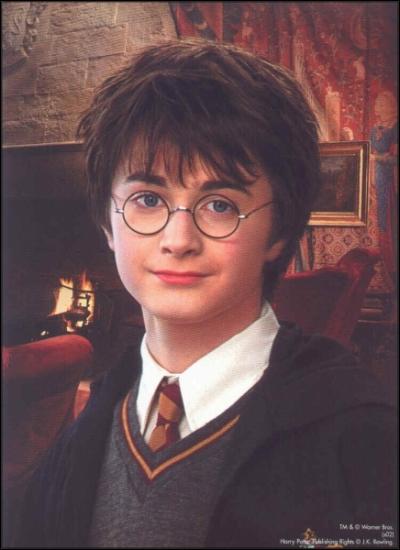Comment s'appelle l'acteur qui joue le rle de Harry Potter ?