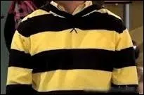 (Section Genius)  qui appartient ce pull ?