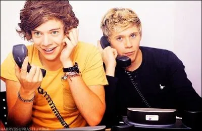 Comment s'appelle c'est  bromance  ?