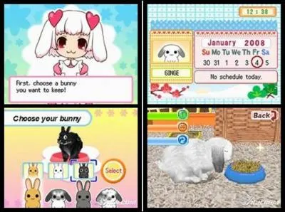 De quel Jeu de DS vient cette Image ?