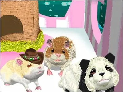 De quel Jeu de DS vient cette Image ?