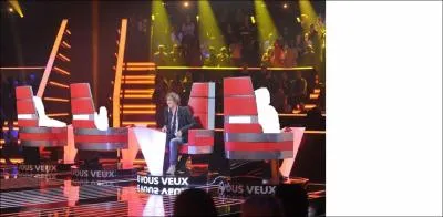 Quand Louis Bertignac est assis dans son fauteuil de coach, il est assis entre :