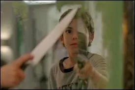 Quel genre de film est  Mirrors  ?