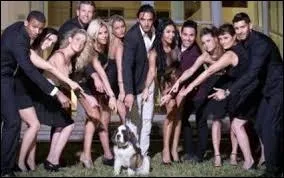 Comment s'appelle le chien que Nabilla et Amlie ont trouv ?
