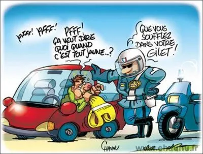 Avec 3 mdailes (une de chaque mtal) aux Jeux Olympiques de Pkin et une en Or  ceux de Londres, il est l'un des nageurs les plus titrs de France :