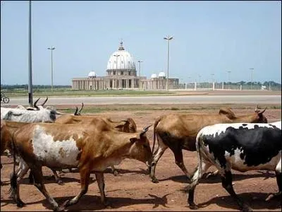 Quelle est la capitale de la C�te d'Ivoire ?