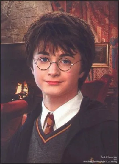 Qui a mis le nom de Harry Potter dans la coupe de feu ?