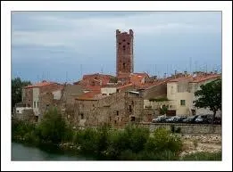 Nous sommes  Rivesaltes ( Pyrnes-Orientales ) . Cette ville est chef-lieu ...