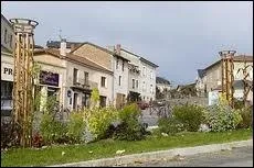 La ville de Rochechouart ( Haute-Vienne ) est chef-lieu ...
