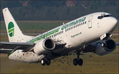 Quel prédateur naturel est utilisé pour éloigner les oiseaux des aéroports et ainsi, éviter qu'ils endommagent les avions ?