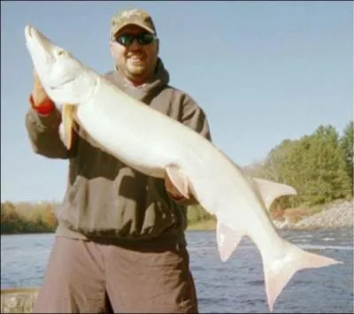 Le duel a dur une bonne quinzaine de minutes, on peut donc dire que a a ...