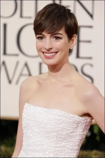 Dans lequel de ces films Anne Hathaway n'a-t-elle pas jou ?