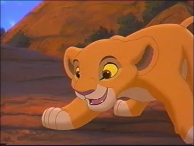 Qui doit surveiller la fille de Simba quand elle sort ?