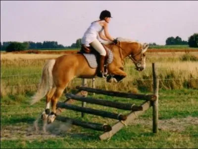 Cet obstacle s'appelle :