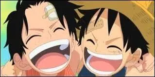 Qui est le frre de Luffy ?