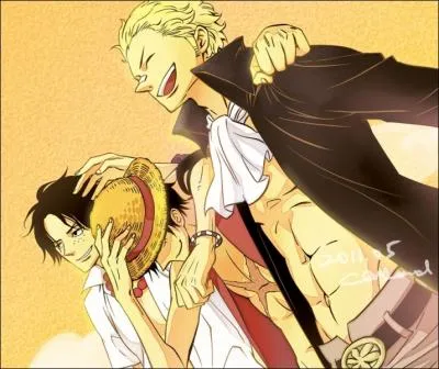 Qui est l'autre frre de Luffy ?