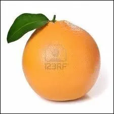  Pamplemousse  est un mot :