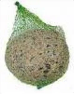 A qui doit-on la nouvelle  Boule de suif  crite en 1879 ?