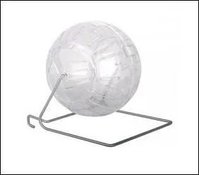 Pour le sport, 30 minutes maximum !