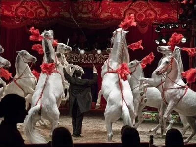 Un exercice qui runit cuyer, acrobates et dresseurs de chevaux, synonyme d'un sport questre ?