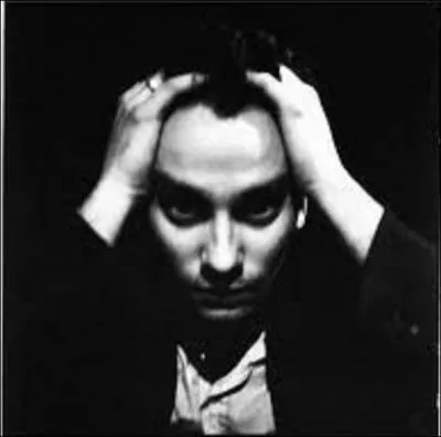 ... Oh non, l'homme descend pas du singe ! Il descend plutt...