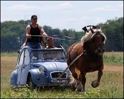 Comment dit-on  Je roule  en latin ?