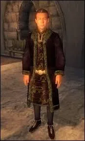 Qui est le Renard Gris ?