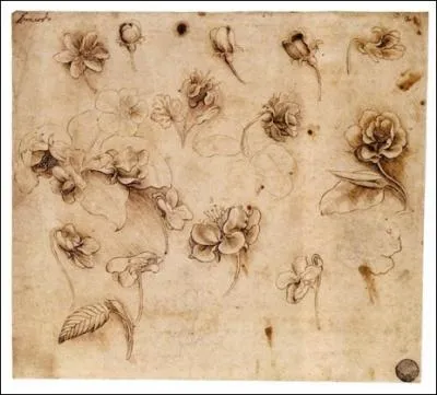 Qui a dessin ces fleurs ?