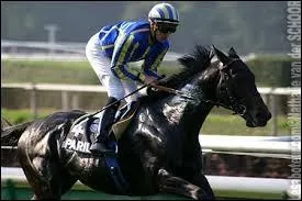 Ce cheval connu est de quelle race ?