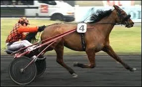 Ce cheval au trot est un...