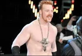 De qui Sheamus a-t-il t le rival en 2012 et 2013 ?