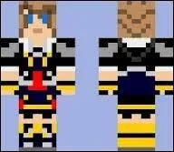 A qui appartient ce skin ?